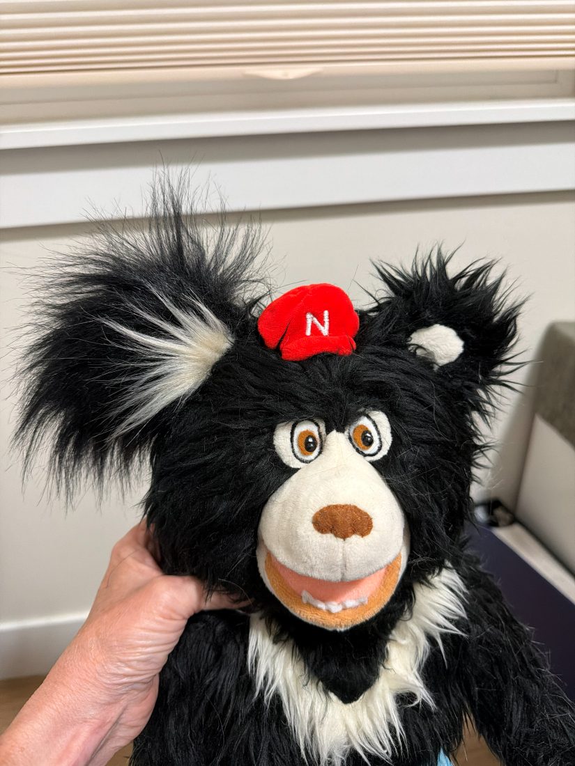 Close-up of the Nawful puppet, a shaggy black sloth bear in a red cap, while his ears were being reshaped