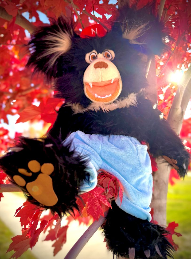 The Nawful puppet climbing among bright red autumn leaves