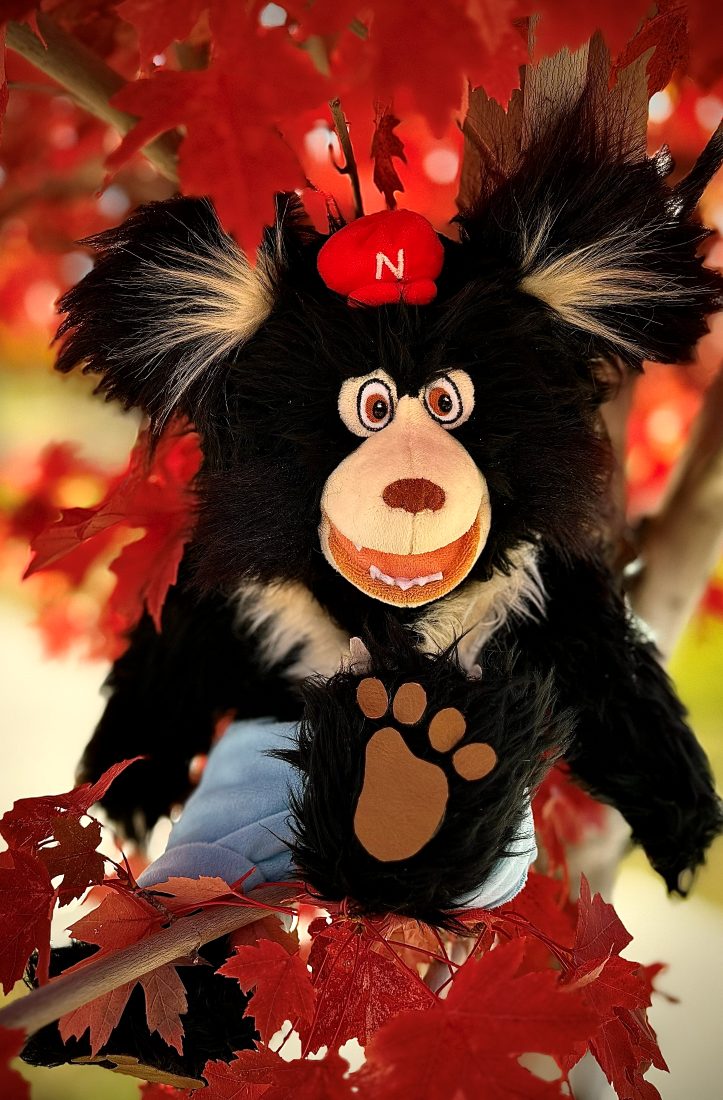 The Nawful puppet perched in a red maple tree